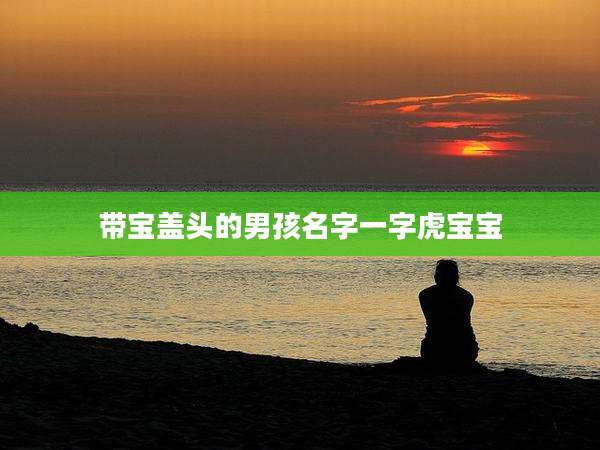 带宝盖头的男孩名字一字虎宝宝