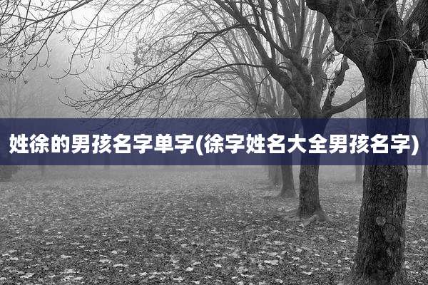 姓徐的男孩名字单字(徐字姓名大全男孩名字)