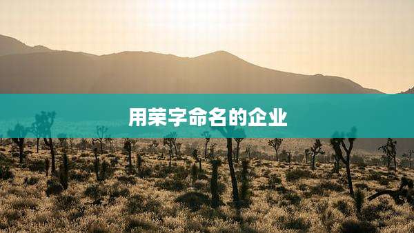 用荣字命名的企业