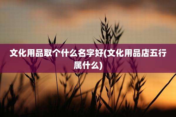 文化用品取个什么名字好(文化用品店五行属什么)
