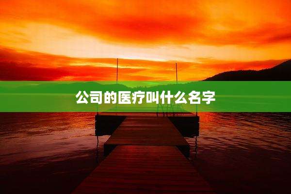 公司的医疗叫什么名字