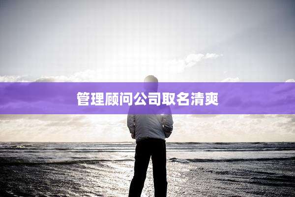 管理顾问公司取名清爽