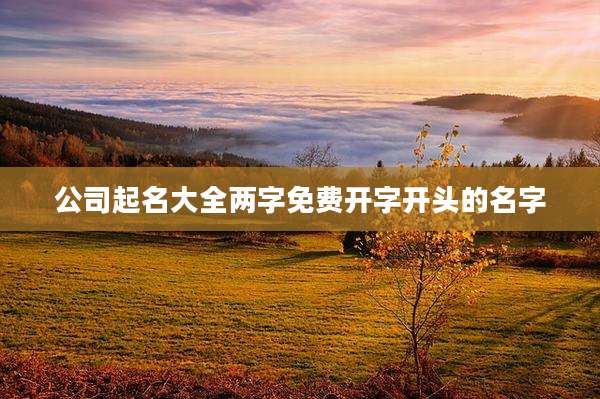 公司起名大全两字免费开字开头的名字