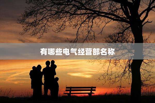 有哪些电气经营部名称