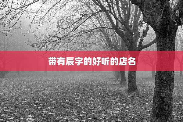 带有辰字的好听的店名
