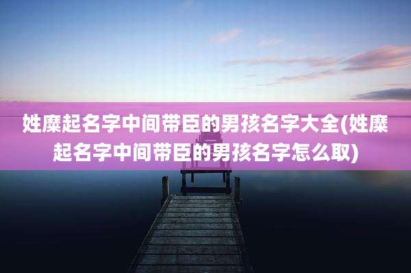 姓糜起名字中间带臣的男孩名字大全(姓糜起名字中间带臣的男孩名字怎么取)