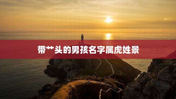 带艹头的男孩名字属虎姓景