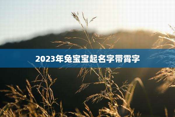 2023年兔宝宝起名字带霄字