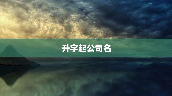 升字起公司名