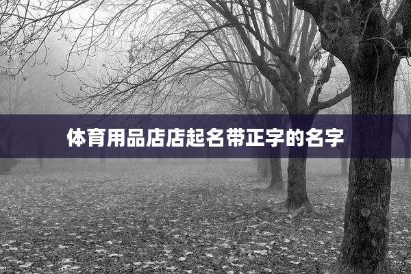 体育用品店店起名带正字的名字