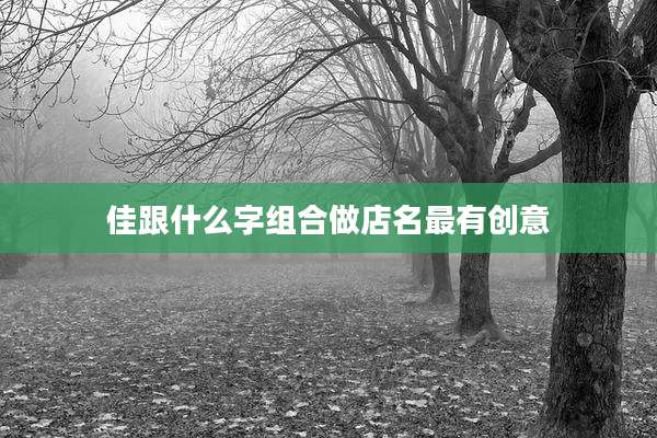 佳跟什么字组合做店名最有创意