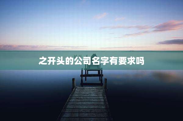 之开头的公司名字有要求吗