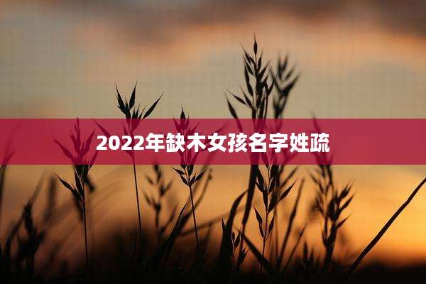 2022年缺木女孩名字姓疏