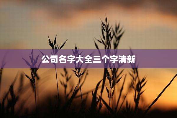 公司名字大全三个字清新