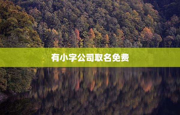 有小字公司取名免费