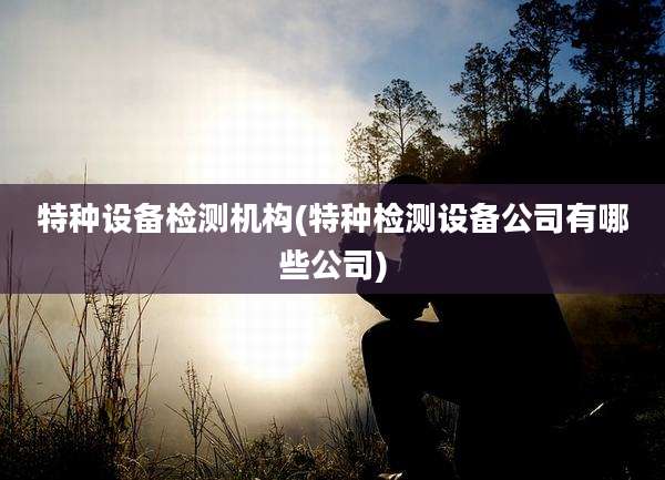 特种设备检测机构(特种检测设备公司有哪些公司)