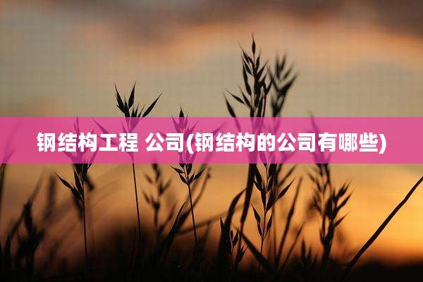 钢结构工程 公司(钢结构的公司有哪些)