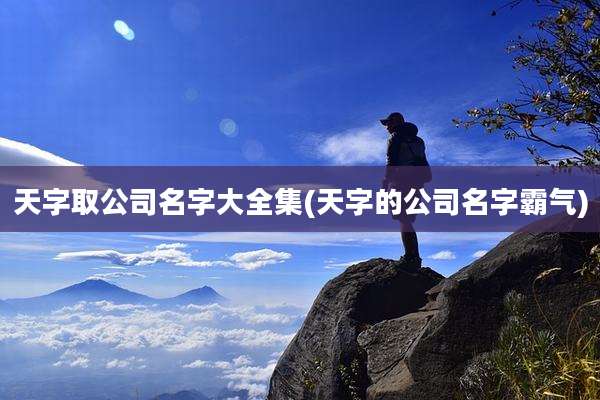 天字取公司名字大全集(天字的公司名字霸气)
