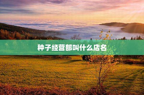 种子经营部叫什么店名
