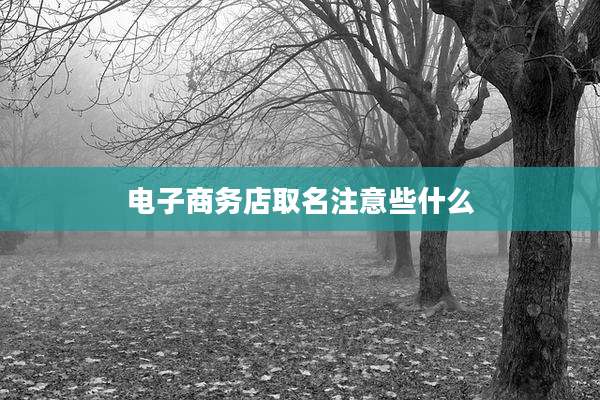 电子商务店取名注意些什么