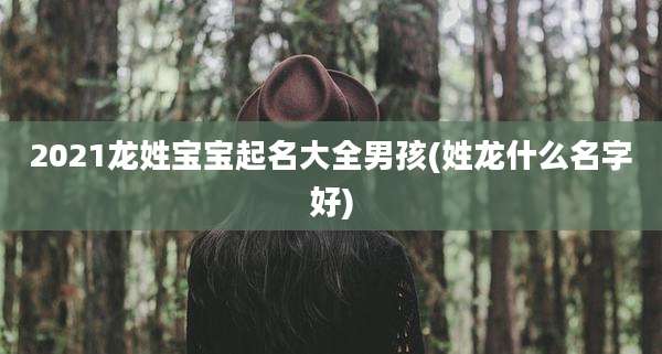 2021龙姓宝宝起名大全男孩(姓龙什么名字好)