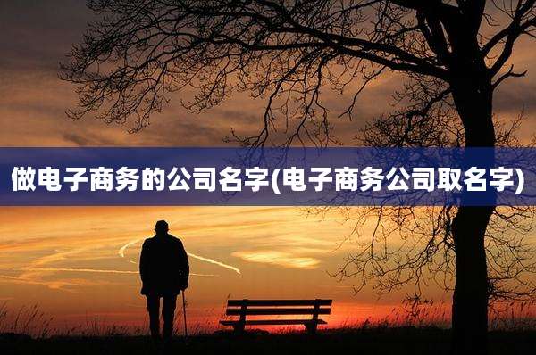 做电子商务的公司名字(电子商务公司取名字)