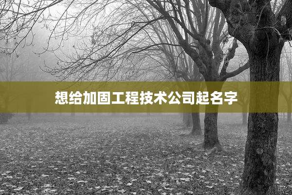 想给加固工程技术公司起名字