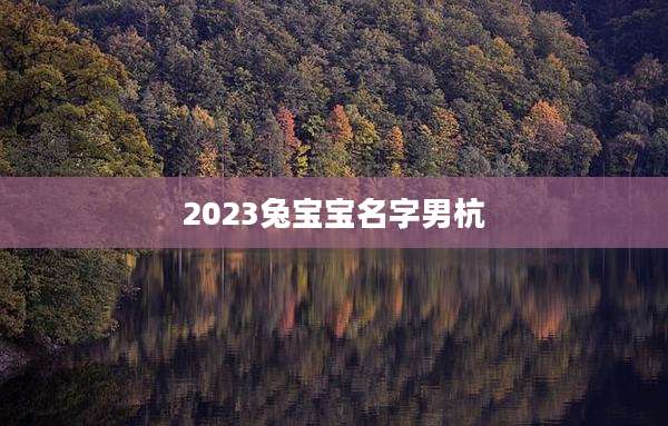 2023兔宝宝名字男杭