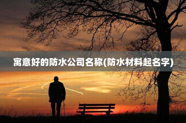 寓意好的防水公司名称(防水材料起名字)