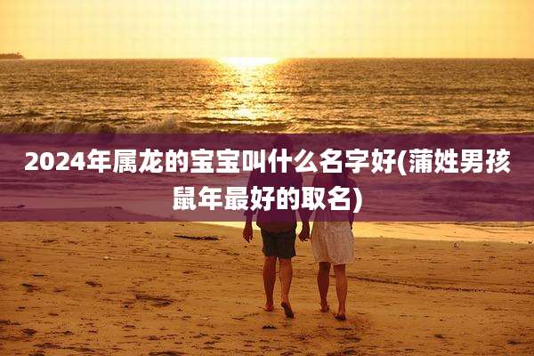 2024年属龙的宝宝叫什么名字好(蒲姓男孩鼠年最好的取名)