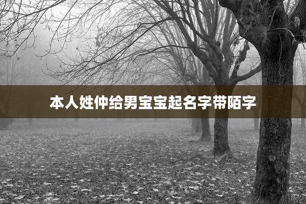 本人姓仲给男宝宝起名字带陌字
