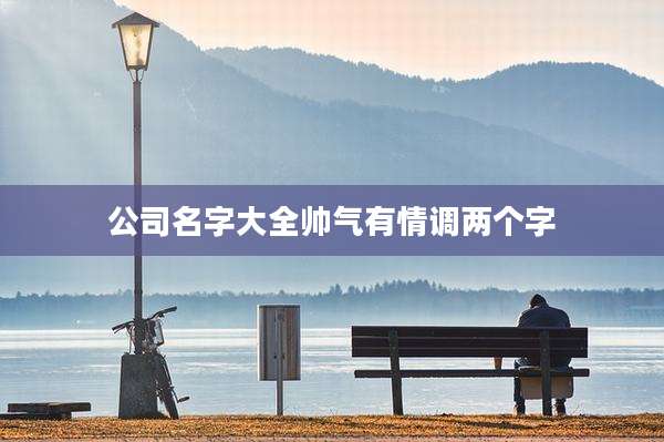 公司名字大全帅气有情调两个字