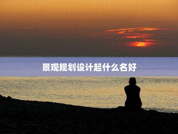 景观规划设计起什么名好