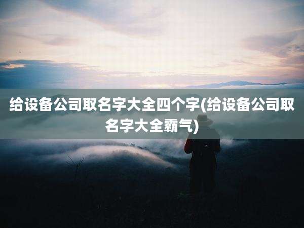 给设备公司取名字大全四个字(给设备公司取名字大全霸气)