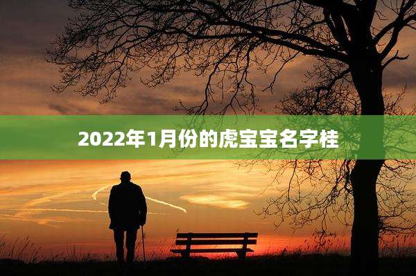 2022年1月份的虎宝宝名字桂