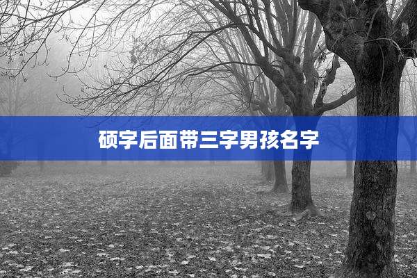 硕字后面带三字男孩名字