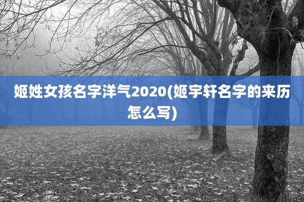 姬姓女孩名字洋气2020(姬宇轩名字的来历怎么写)