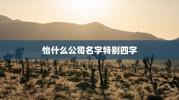 怡什么公司名字特别四字