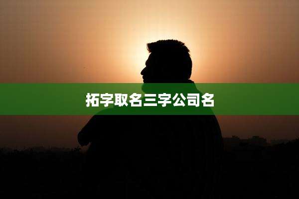 拓字取名三字公司名
