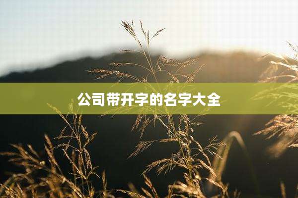 公司带开字的名字大全