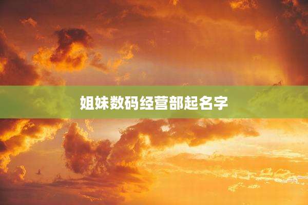 姐妹数码经营部起名字