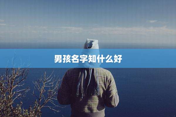 男孩名字知什么好