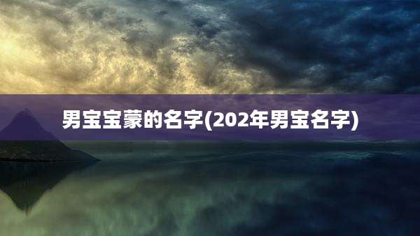 男宝宝蒙的名字(202年男宝名字)