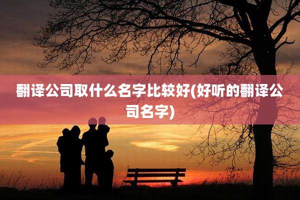 翻译公司取什么名字比较好(好听的翻译公司名字)