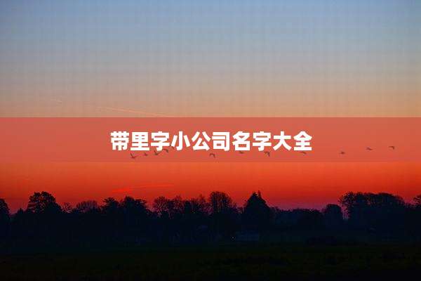 带里字小公司名字大全