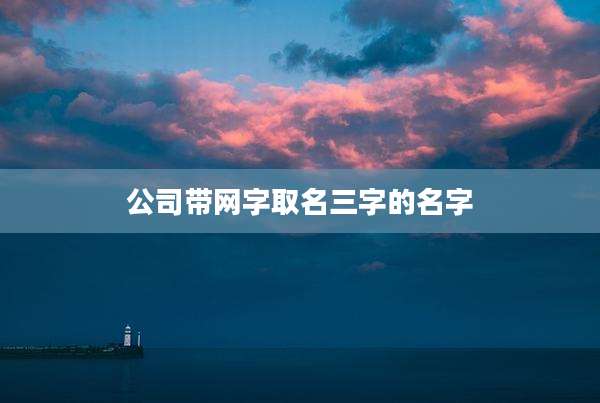 公司带网字取名三字的名字