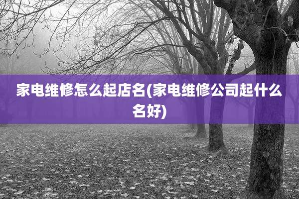 家电维修怎么起店名(家电维修公司起什么名好)