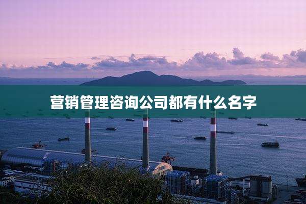 营销管理咨询公司都有什么名字