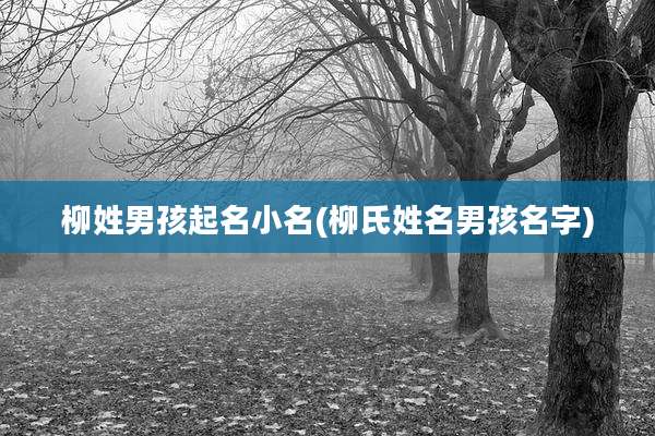 柳姓男孩起名小名(柳氏姓名男孩名字)