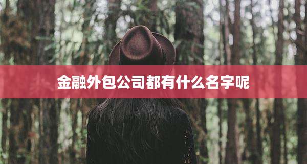 金融外包公司都有什么名字呢